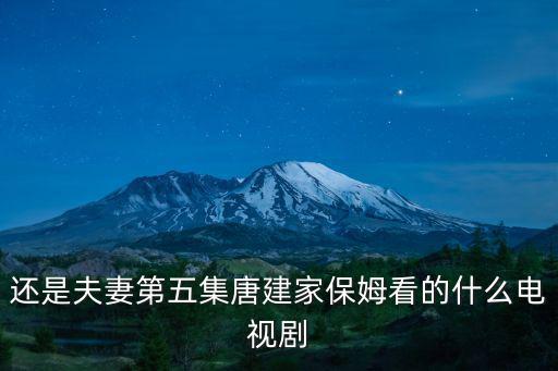 還是夫妻第五集唐建家保姆看的什么電視劇