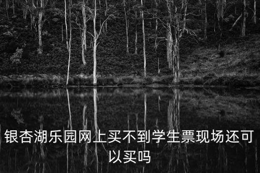 銀杏湖樂園網上買不到學生票現場還可以買嗎