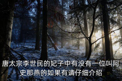 唐太宗李世民的妃子中有沒有一位叫阿史那燕的如果有請仔細介紹