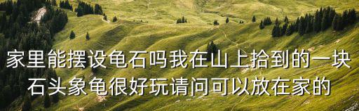 家里能擺設龜石嗎我在山上拾到的一塊石頭象龜很好玩請問可以放在家的