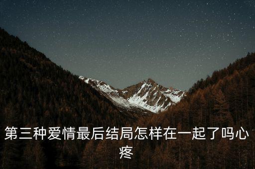 第三種愛情最后結局怎樣在一起了嗎心疼