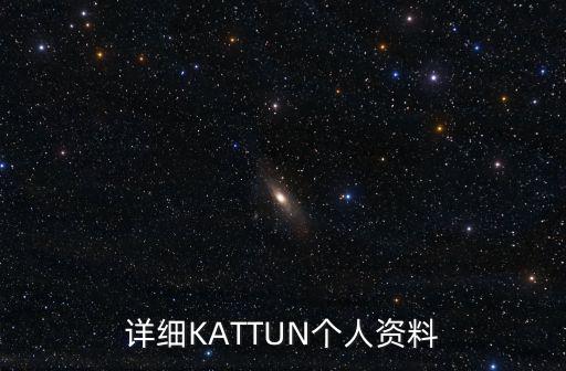 詳細KATTUN個人資料