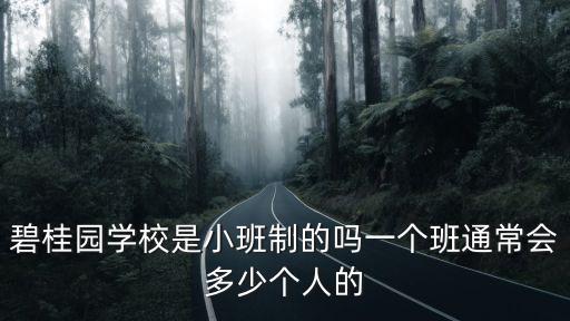 碧桂園學(xué)校是小班制的嗎一個(gè)班通常會(huì)多少個(gè)人的