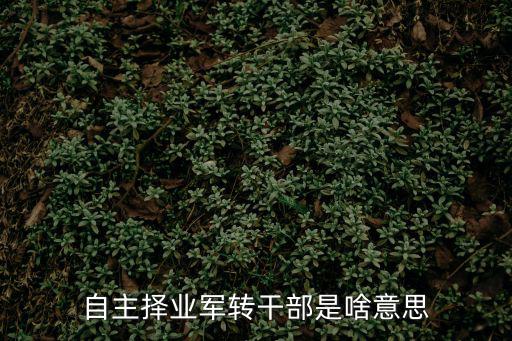 自主擇業軍轉干部是啥意思