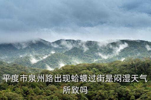 平度市泉州路出現蛤蟆過街是悶濕天氣所致嗎