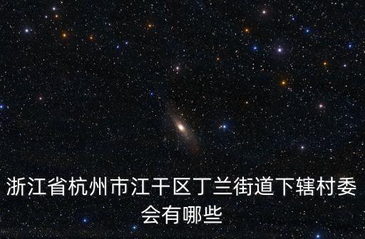 浙江省杭州市江干區(qū)丁蘭街道下轄村委會(huì)有哪些