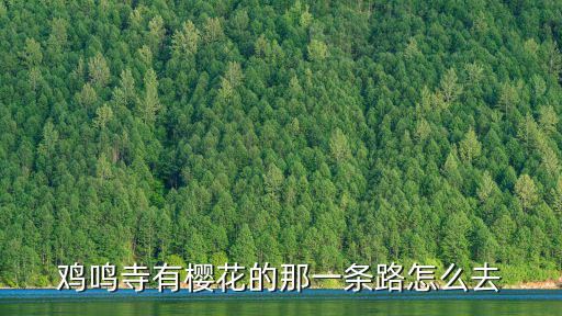 雞鳴寺有櫻花的那一條路怎么去