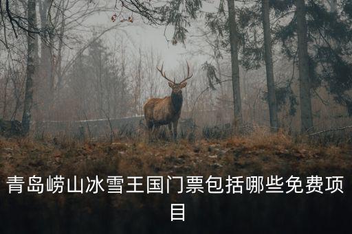 免費(fèi)冰雪，鳥(niǎo)巢冰雪季140元的套票都能免費(fèi)玩什么項(xiàng)目啊