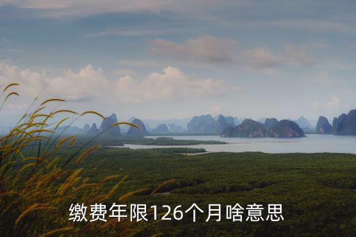 繳費(fèi)年限126個(gè)月啥意思