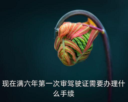 現(xiàn)在滿六年第一次審駕駛證需要辦理什么手續(xù)