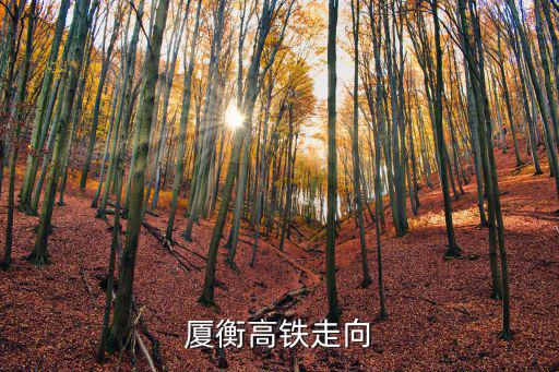 廈衡高鐵走向