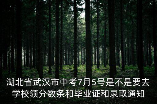 武漢中考分數查詢，湖北省武漢市中考7月5號是不是要去學校領分數條和畢業證和錄取通知