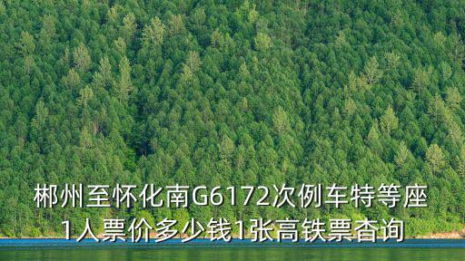 郴州至懷化南G6172次例車特等座1人票價多少錢1張高鐵票杳詢
