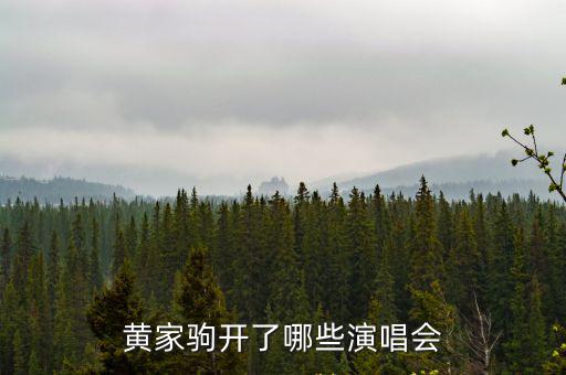 黃家駒開了哪些演唱會
