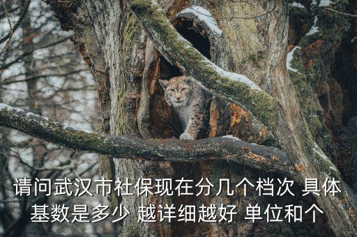 請問武漢市社保現(xiàn)在分幾個檔次 具體基數(shù)是多少 越詳細越好 單位和個