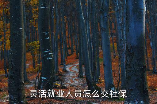靈活就業(yè)人員怎么交社保