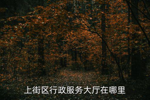 上街區(qū)行政服務(wù)大廳在哪里