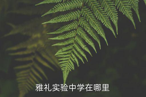 雅禮實驗中學在哪里