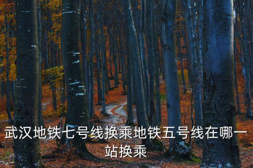 武漢地鐵七號線換乘地鐵五號線在哪一站換乘