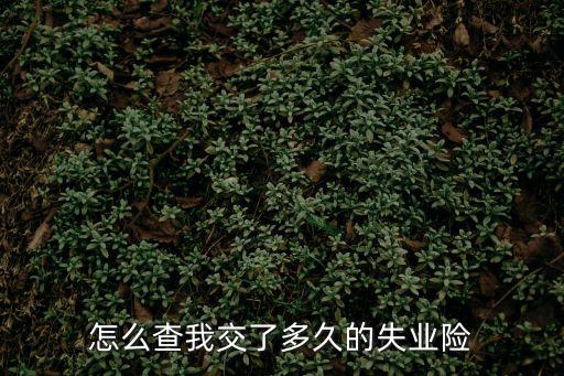 怎么查我交了多久的失業險