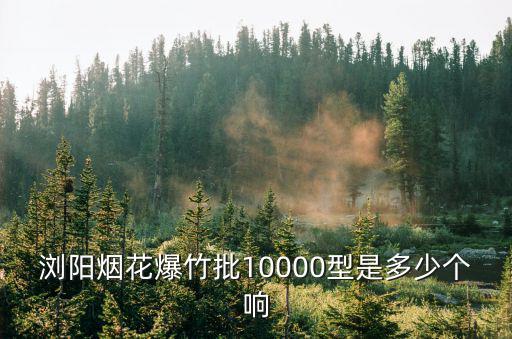 瀏陽煙花爆竹批10000型是多少個(gè)響