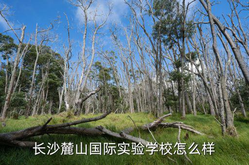 長沙麓山國際實驗學校怎么樣