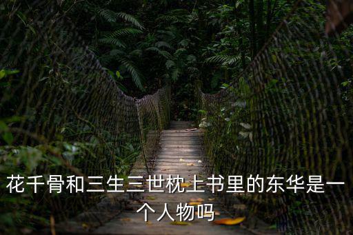 花千骨和三生三世枕上書里的東華是一個人物嗎