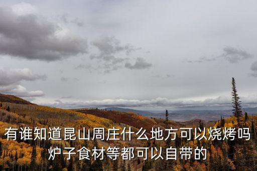 有誰知道昆山周莊什么地方可以燒烤嗎爐子食材等都可以自帶的