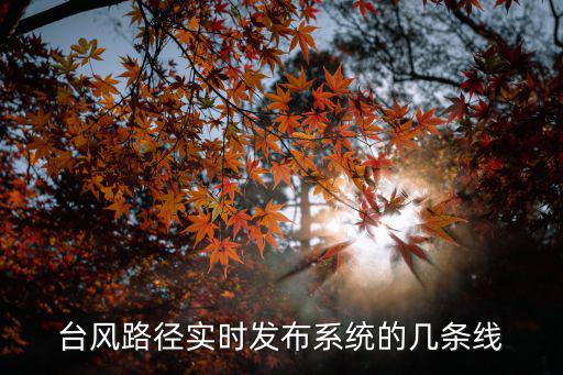 臺(tái)風(fēng)路徑實(shí)時(shí)發(fā)布系統(tǒng)的幾條線