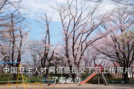 中國衛(wèi)生人才網(wǎng)信息提交了忘上傳照片了怎么辦