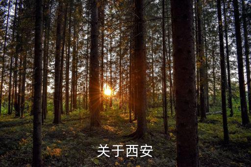 關于西安