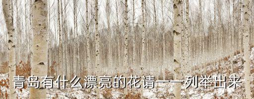 青島有什么漂亮的花請一一列舉出來