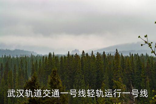 武漢軌道交通一號線輕軌運行一號線