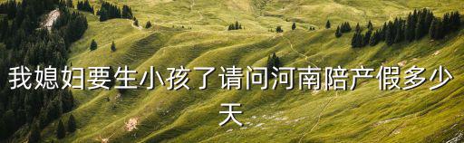河南產假，河南這邊產假是如何規定的