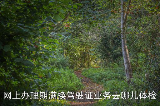 網上辦理期滿換駕駛證業務去哪兒體檢