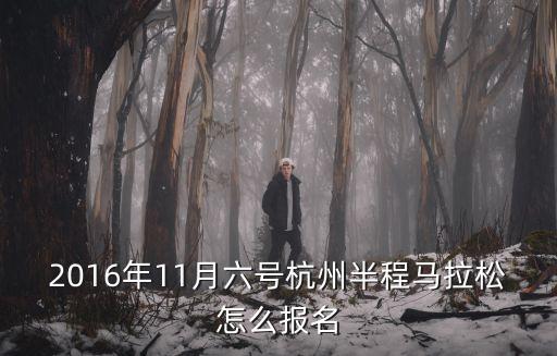 2016年11月六號(hào)杭州半程馬拉松怎么報(bào)名