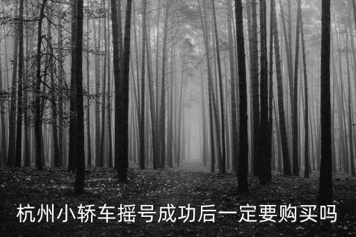 杭州小轎車(chē)搖號(hào)成功后一定要購(gòu)買(mǎi)嗎