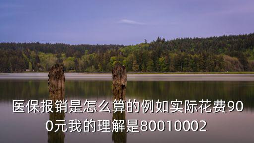 醫保報銷是怎么算的例如實際花費900元我的理解是80010002