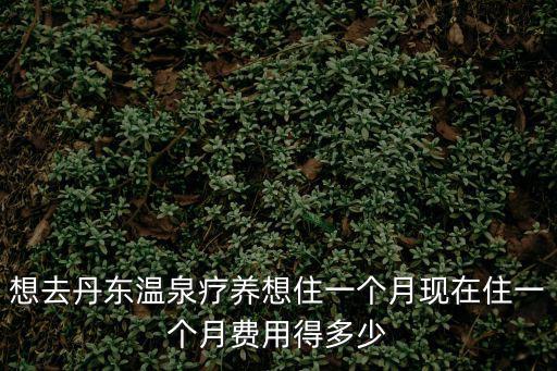 溫泉療養，想去丹東溫泉療養想住一個月現在住一個月費用得多少