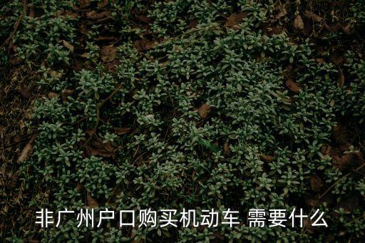 非廣州戶口購買機動車 需要什么