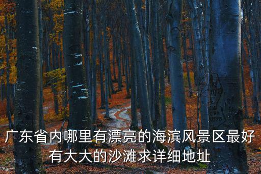 廣東省內哪里有漂亮的海濱風景區最好有大大的沙灘求詳細地址