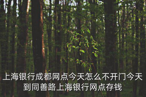 上海銀行成都網點今天怎么不開門今天到同善路上海銀行網點存錢