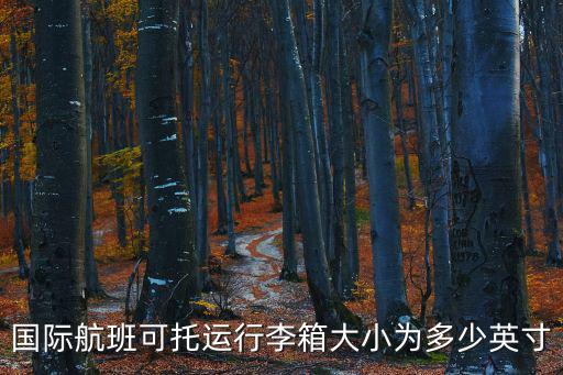 國際航班可托運行李箱大小為多少英寸