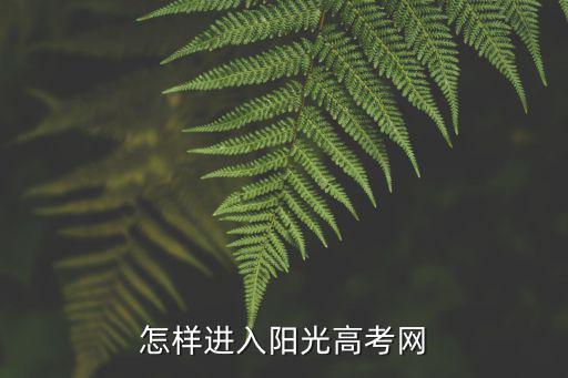 怎樣進(jìn)入陽(yáng)光高考網(wǎng)