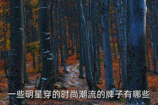 一些明星穿的時尚潮流的牌子有哪些