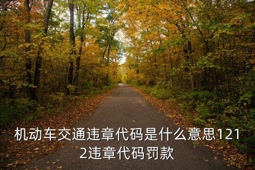 機動車交通違章代碼是什么意思1212違章代碼罰款