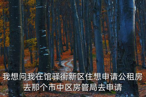我想問我在館驛街新區住想申請公租房去那個市中區房管局去申請