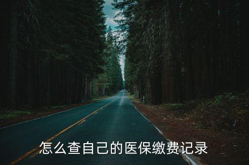 怎么查自己的醫(yī)保繳費(fèi)記錄