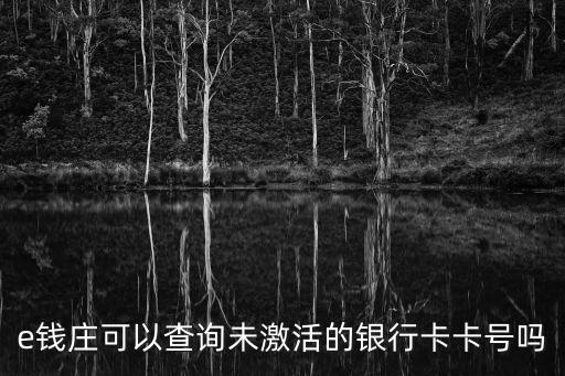e錢莊可以查詢未激活的銀行卡卡號嗎
