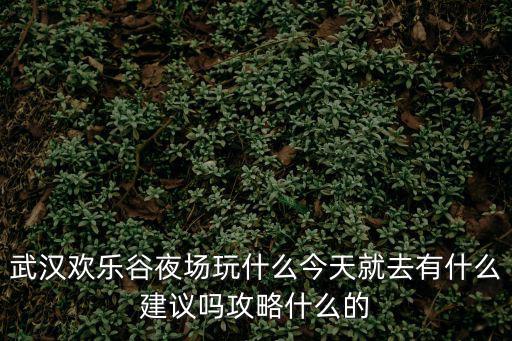 武漢歡樂谷夜場玩什么今天就去有什么建議嗎攻略什么的